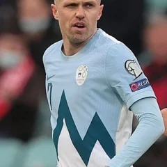 Josip Iličić height profile photo