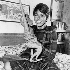 Judy Carne height profile photo