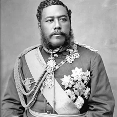Kalākaua height profile photo