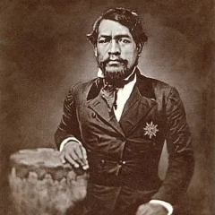 Kamehameha III height profile photo