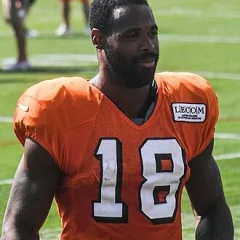 Kenny Britt height profile photo