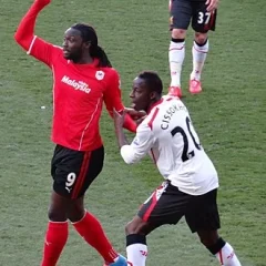 Kenwyne Jones height profile photo