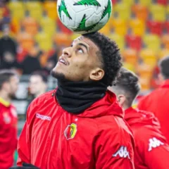 Lamine Diaby-Fadiga height profile photo