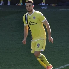 Lee Gregory (footballer) height profile photo