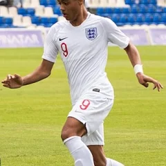Lewis Dobbin height profile photo