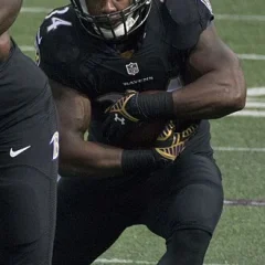 Lorenzo Taliaferro height profile photo