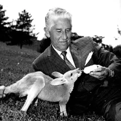 Marlin Perkins height profile photo