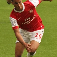 Marouane Chamakh height profile photo