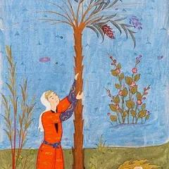 Mary in Islam height profile photo