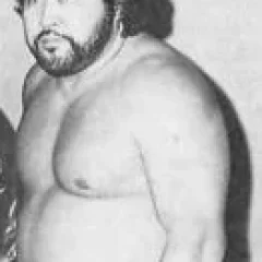 Masa Saito height profile photo