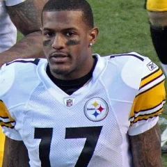Mike Wallace (American football) height profile photo