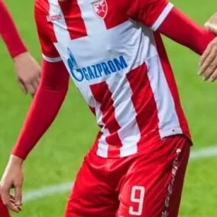 Milan Pavkov height profile photo