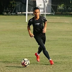 Mohd Faiz Subri height profile photo