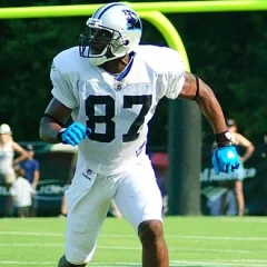 Muhsin Muhammad height profile photo
