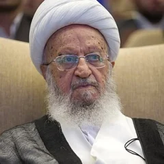 Naser Makarem Shirazi height profile photo