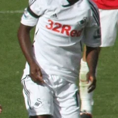 Nathan Dyer height profile photo