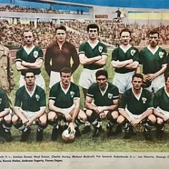 Noel Dwyer height profile photo
