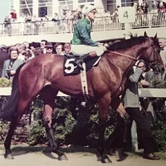 Pat Eddery height profile photo