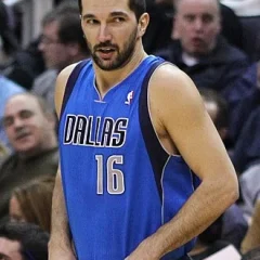 Peja Stojaković height profile photo