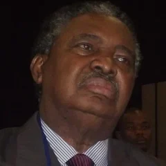 Phelekezela Mphoko height profile photo
