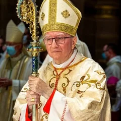 Pietro Parolin height profile photo
