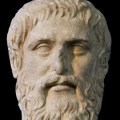 Plato height profile photo