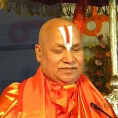 Rambhadracharya height profile photo