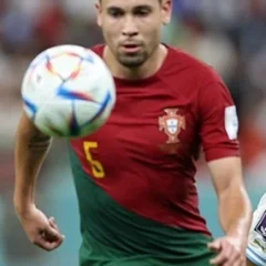 Raphaël Guerreiro height profile photo