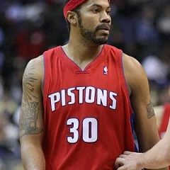 Rasheed Wallace height profile photo