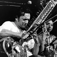 Ravi Shankar height profile photo