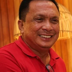 Roel Degamo height profile photo