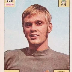 Ronnie Hellström height profile photo