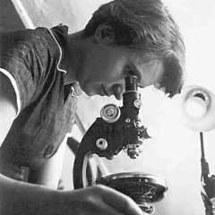 Rosalind Franklin height profile photo
