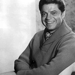 Ross Martin height profile photo