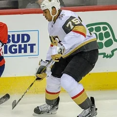 Ryan Reaves height profile photo