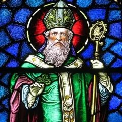Saint Patrick height profile photo