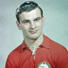 Sándor Kocsis height profile photo