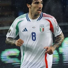 Sandro Tonali height profile photo