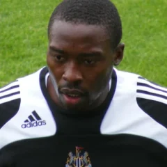 Shola Ameobi height profile photo