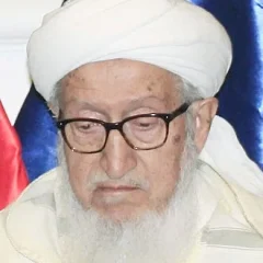 Sibghatullah Mojaddedi height profile photo