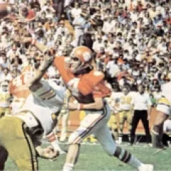Steve Fuller (American football) height profile photo
