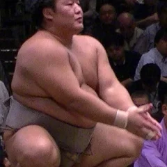Takanoiwa Yoshimori height profile photo