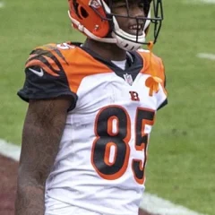 Tee Higgins height profile photo