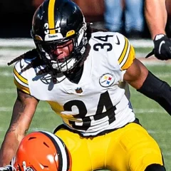 Terrell Edmunds height profile photo