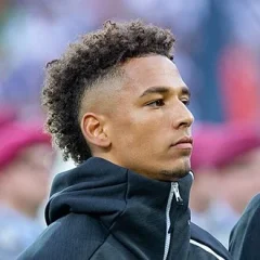Thilo Kehrer height profile photo