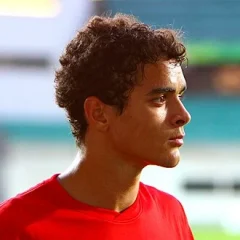 Tiago Ilori height profile photo