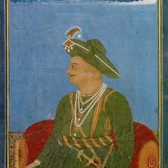 Tipu Sultan height profile photo