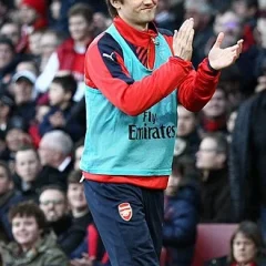 Tomáš Rosický height profile photo