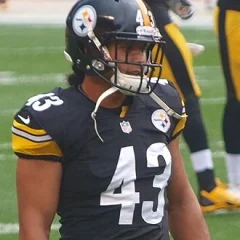 Troy Polamalu height profile photo