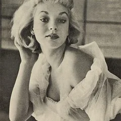Venetia Stevenson height profile photo